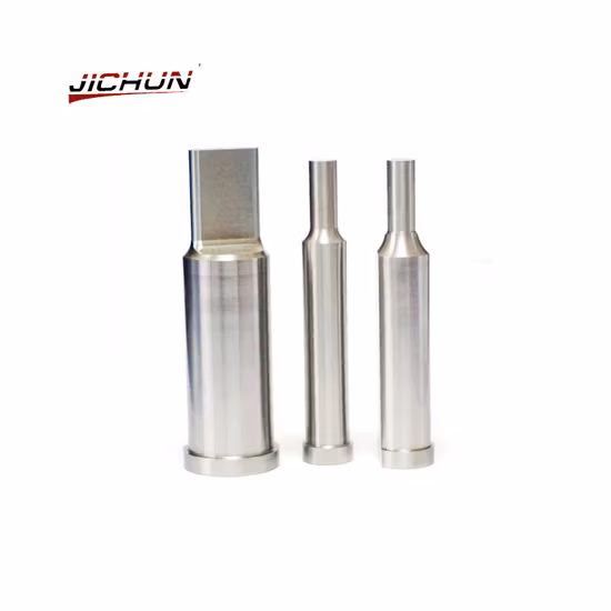 東莞ゴールドサプライヤーの工場卸売パンチピンダイ標準パンチ